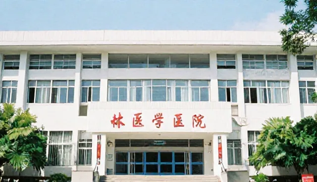 如何提升AI绘画提示词素材包的使用效果?