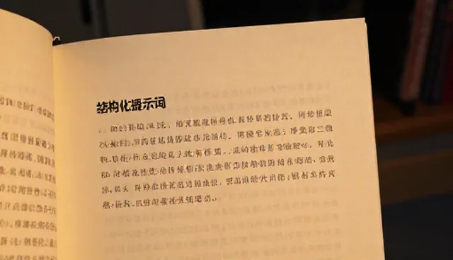 健身计划提示词：用检查要点提升效果调优